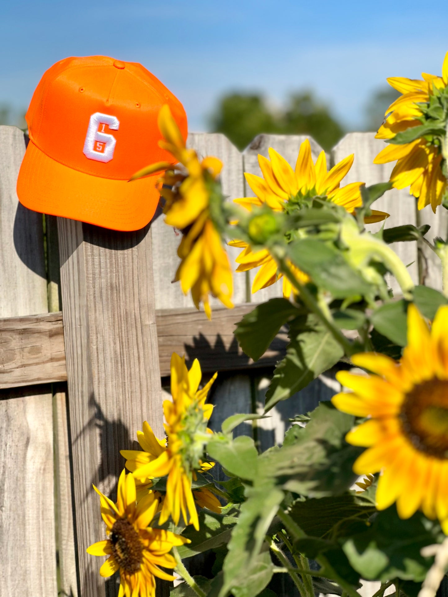 615 Orange Snapback Hat